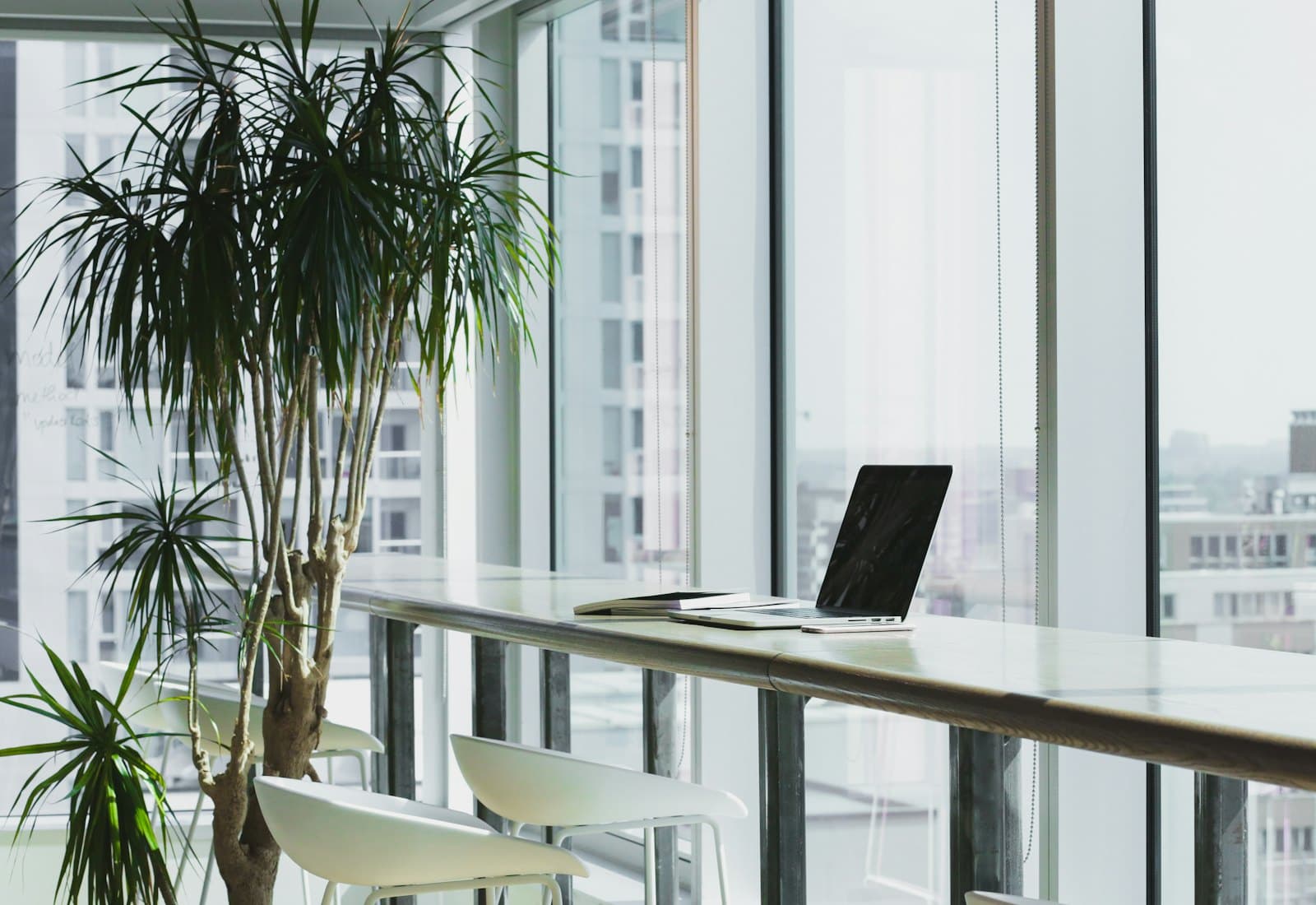 A window-side working bench with plants and a city view