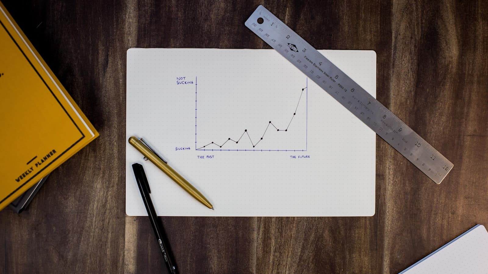 A growth curve drawn by hand on paper with a ruler and pen